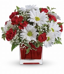 Red And White Delight by Teleflora From Rogue River Florist, Grant's Pass Flower Delivery
